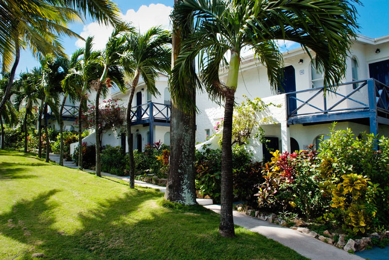 Trade Winds Hotel Dickenson Bay Kültér fotó