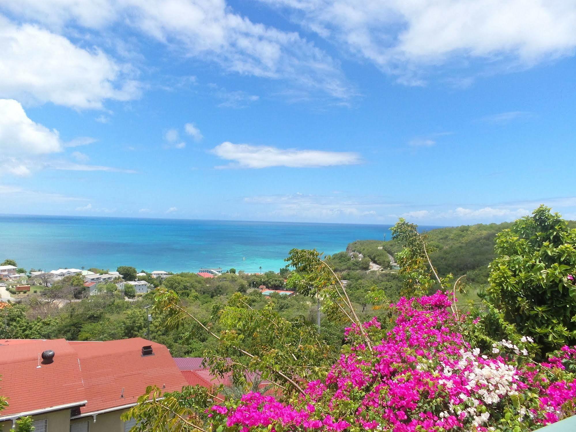 Trade Winds Hotel Dickenson Bay Kültér fotó